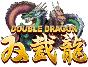 Double Dragon NES ROM