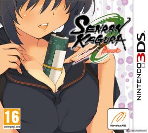 Senran Kagura Burst Nintendo 3DS ROM