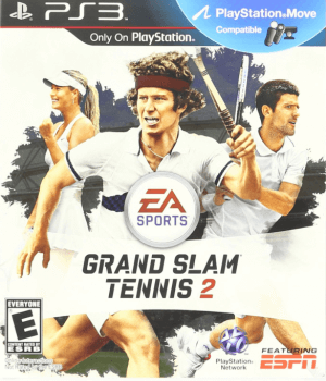 Grand Slam Tennis 2