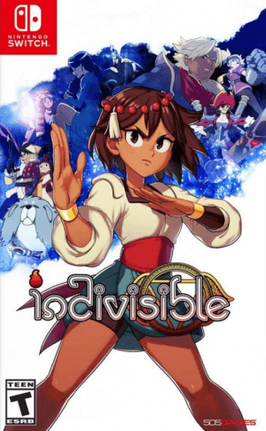 Indivisible Nintendo Switch ROM