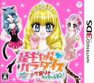 Hime Girl Paradise: Mechikawa! Agemori Sensation! Nintendo 3DS ROM