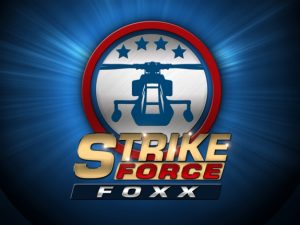 Strike Force Foxx Nintendo 3DS ROM