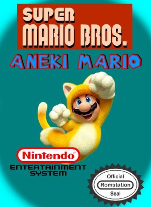 Super Mario Bros. – Aneki Mario NES ROM